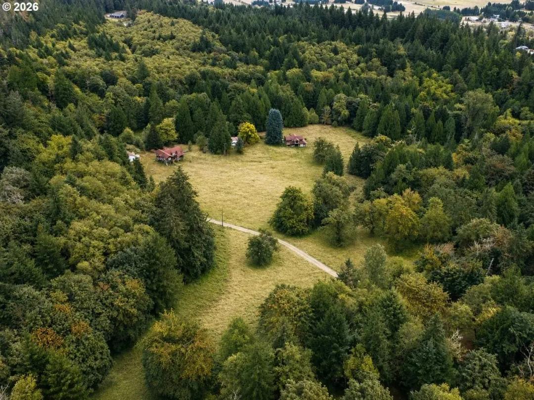 40-Acre Homestead in Amboy, Washington for Sale