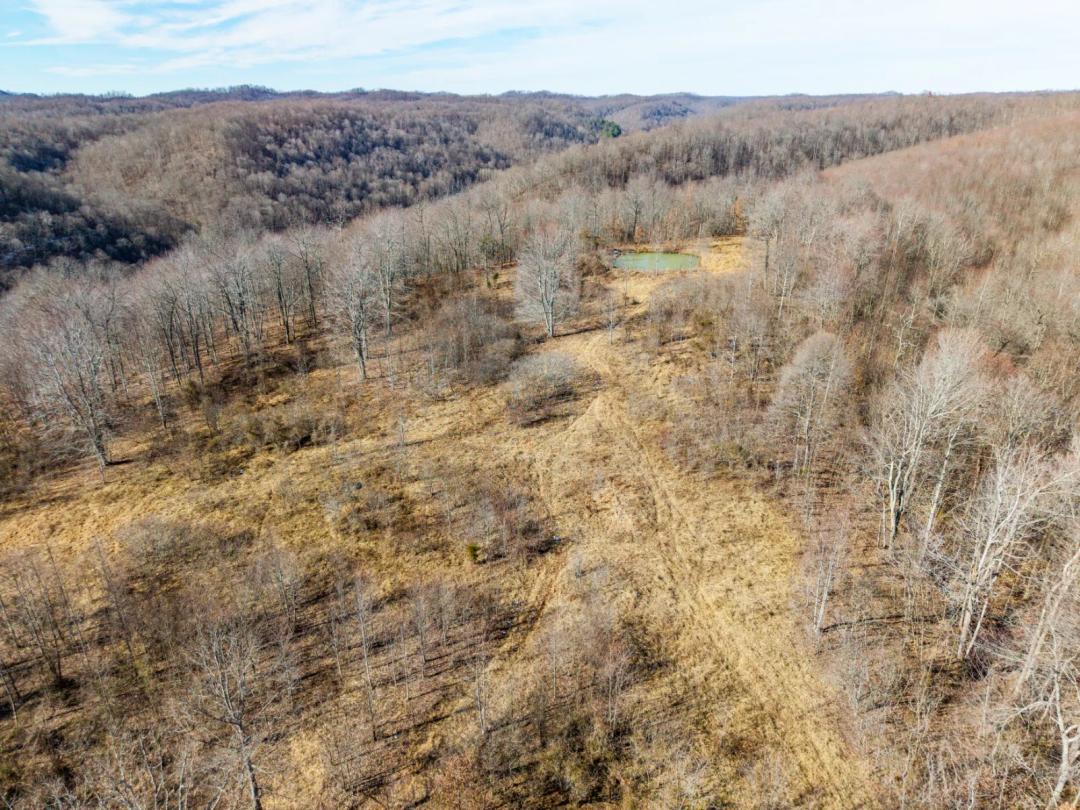 Holly Branch Hunting Retreat