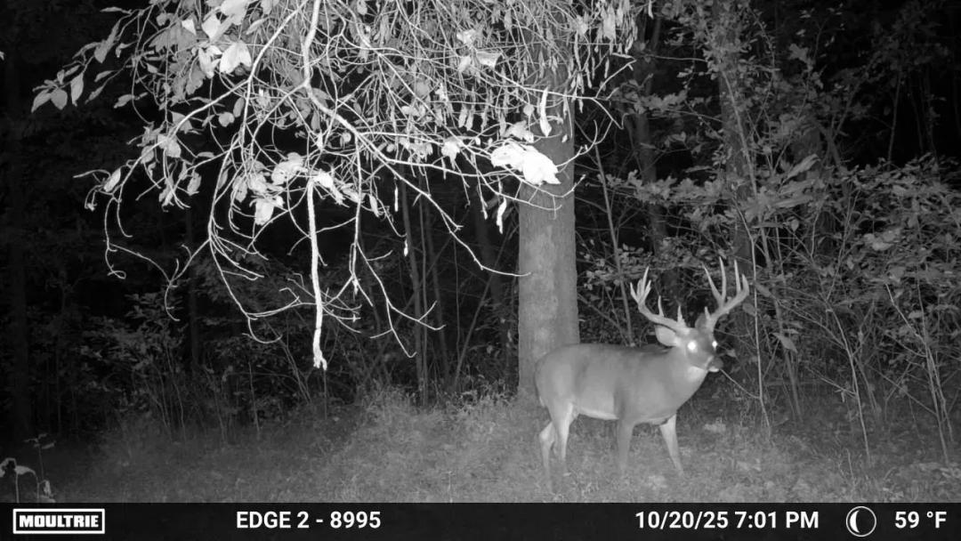 Big Buck Hunting Farm with Trophy Potential – Jackson County