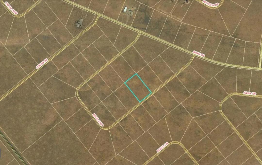 2 Lots Balazo And Mancha