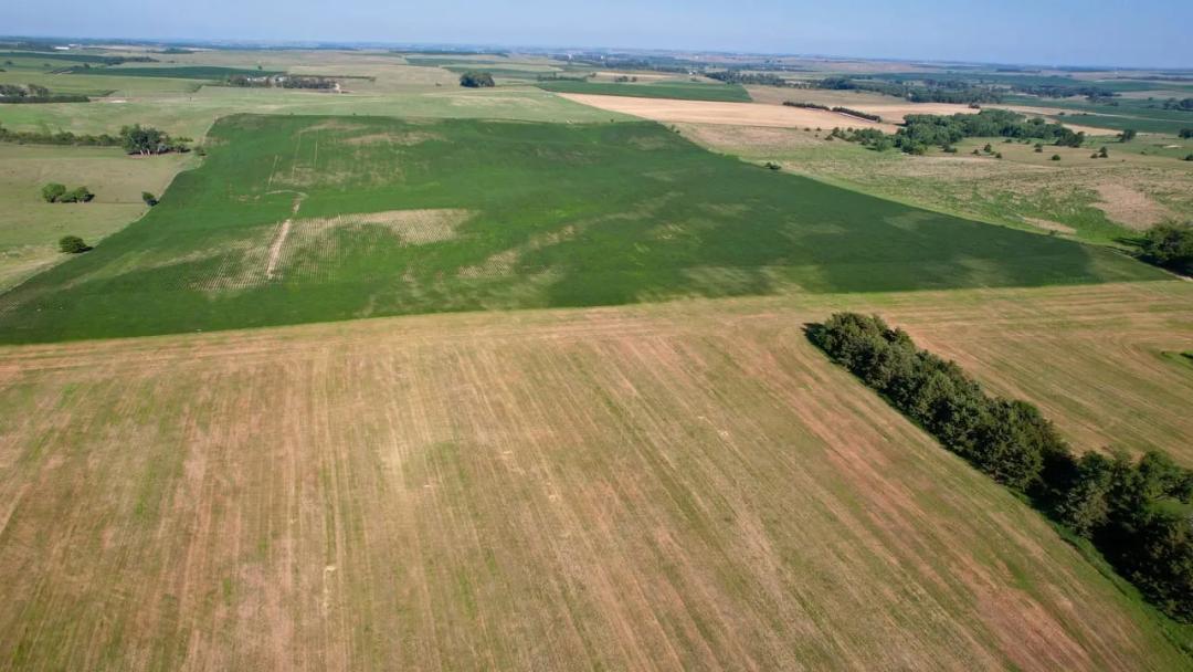 Cedar County, NE 73.3 Acres 