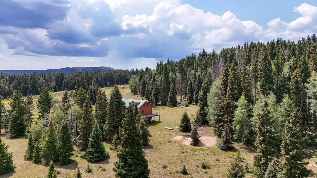 Yonderosa Wilderness Ranch