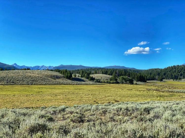 Pintler Creek Ranch