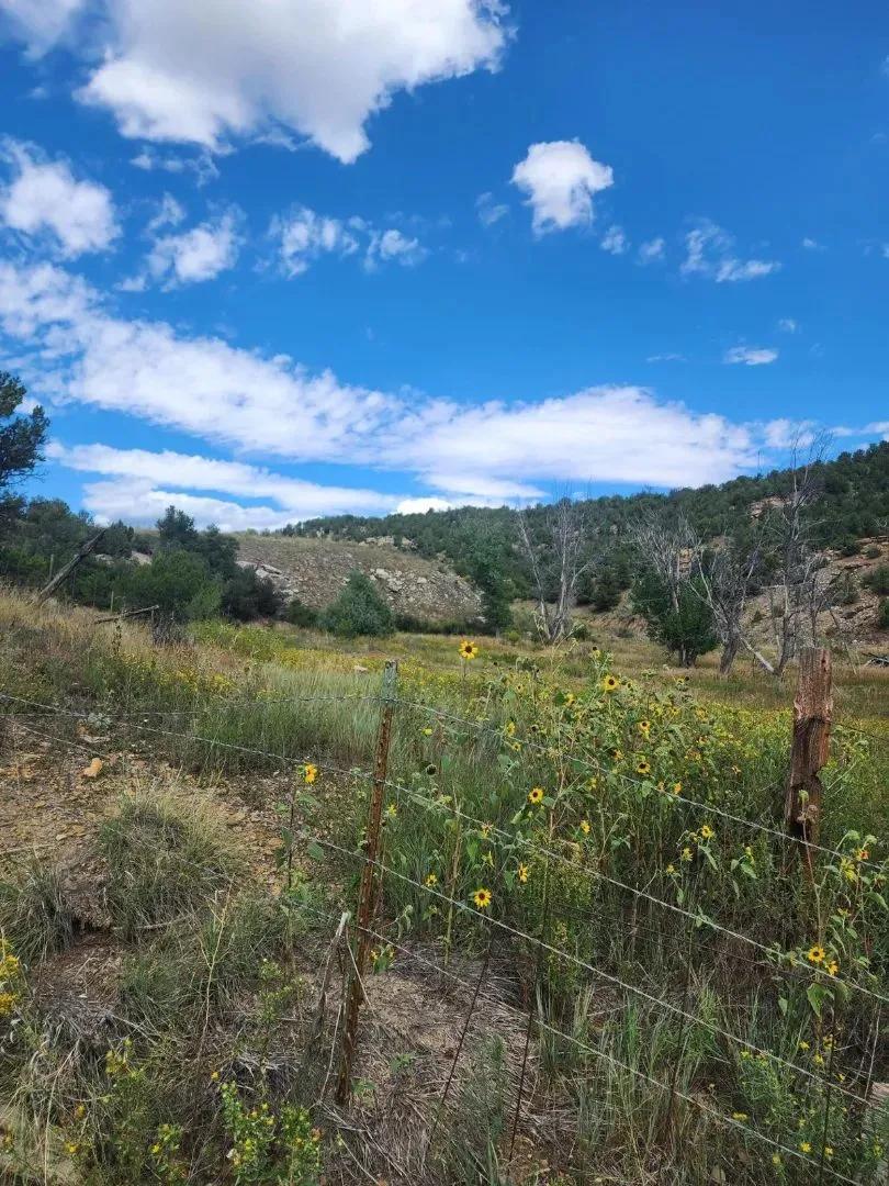 TBD Colorado 12, Trinidad, CO 81082