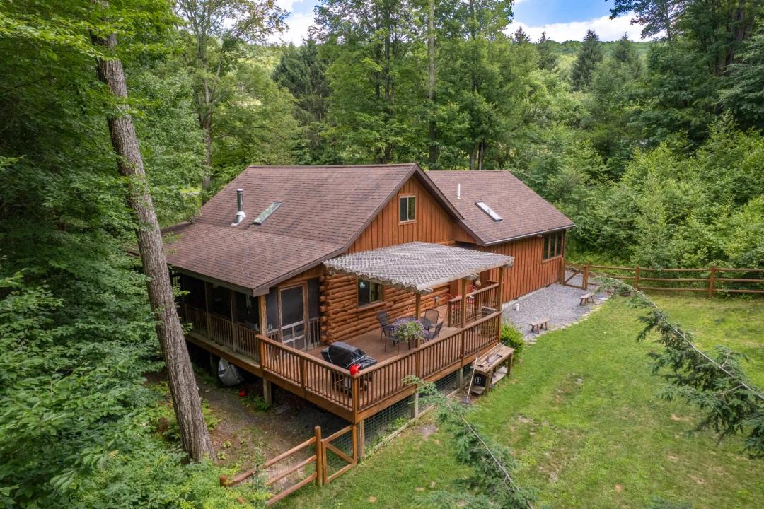 Charming Cabin near Downsville, NY