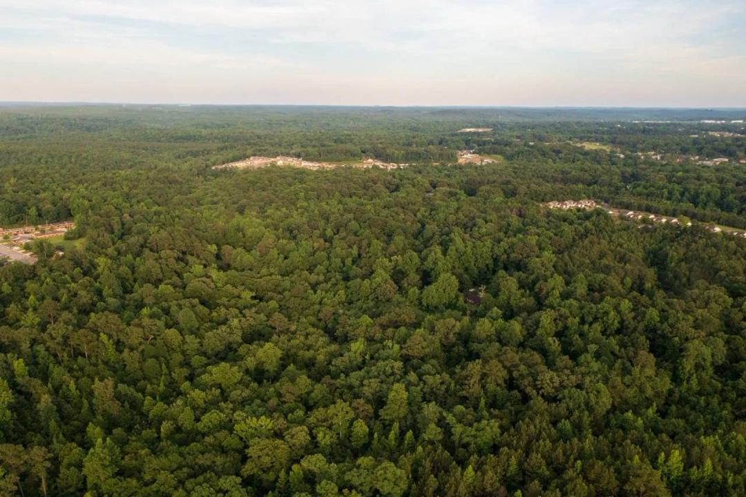 Woodmont Subdivision Lot Package-Tuscaloosa, AL