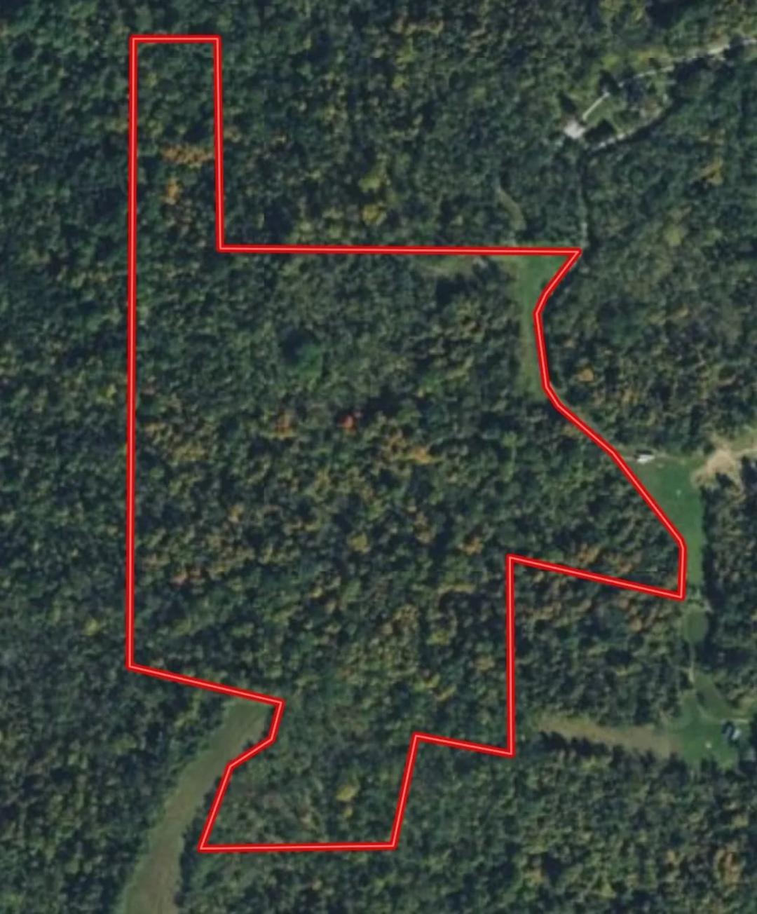 51+/- Acres Recreational / Hunting / Building Lot
