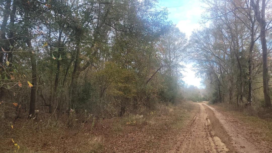 12.00 Acres at 0 Autaugaville