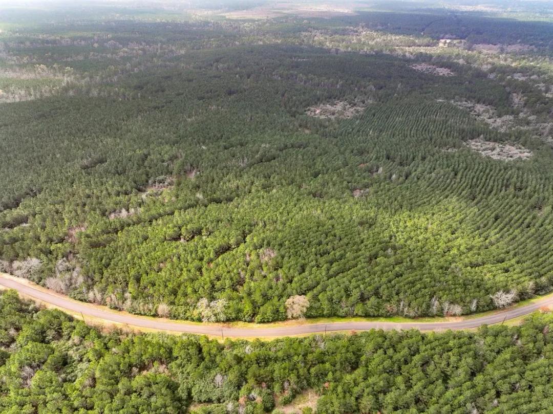 28 Acres | T-22 | CR 2145