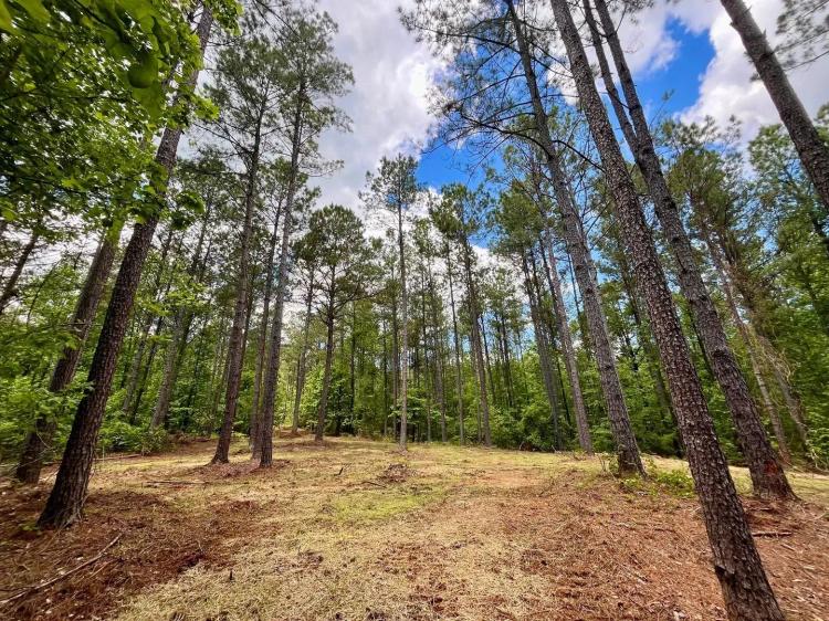 Rollin Mill Farm Tract 7 - 7+/- Ac