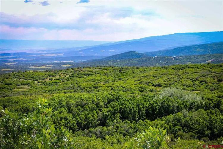 Cedaredge Mountain Land