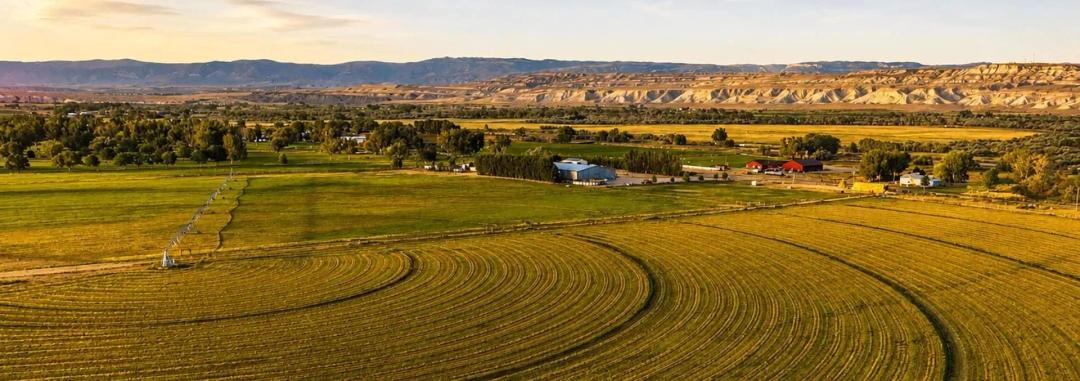 Dirt, Land, and Livestock