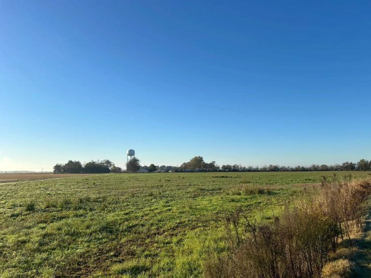 33 Acres in Coahoma County, MS 