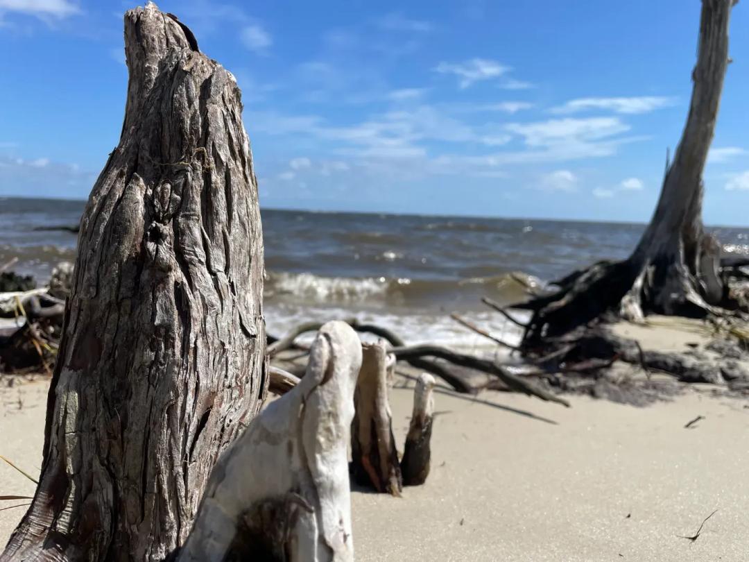 Waterfront Homesite in Beaufort, NC