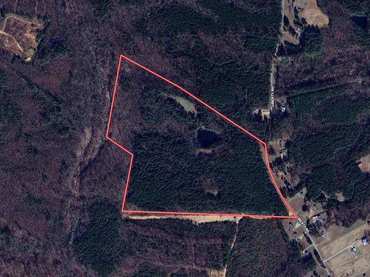 UNDER CONTRACT!!  57.78 acres of Hunting / Recreational / Residential and Timberland For Sale in Brunswick County VA!