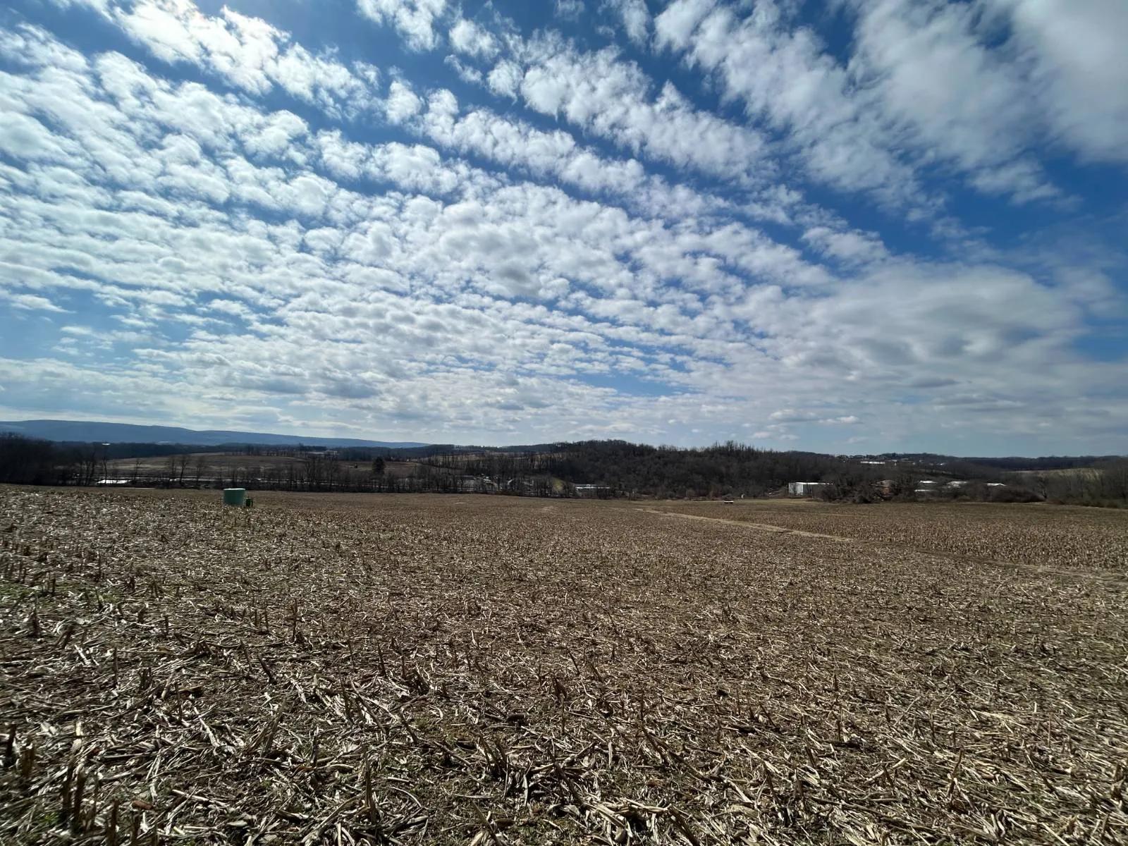 45517836-20