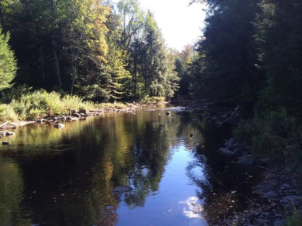 22.6 Acre Private Adirondack Retreat!