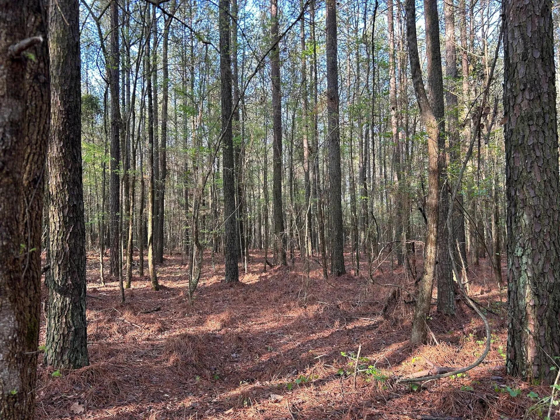 45529566-9