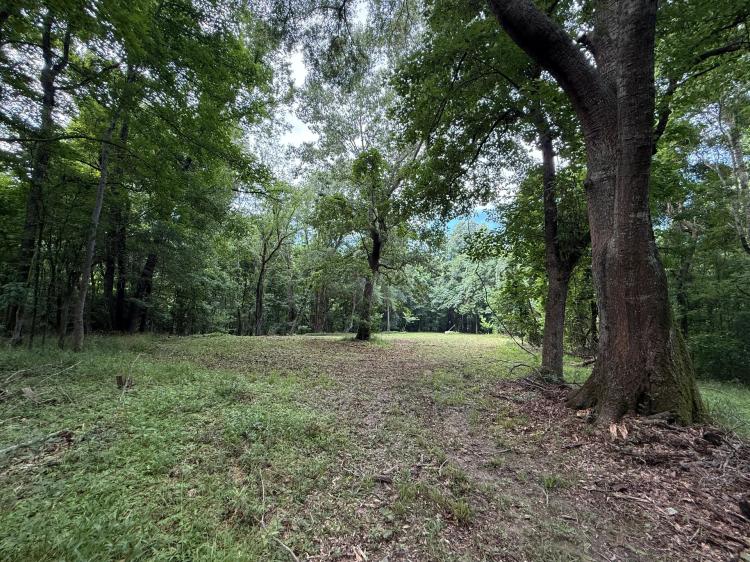 MS - Jefferson 17 acres +/-