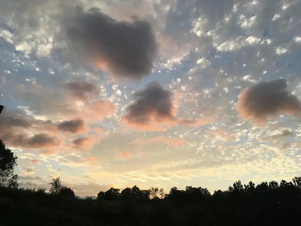45591386-25