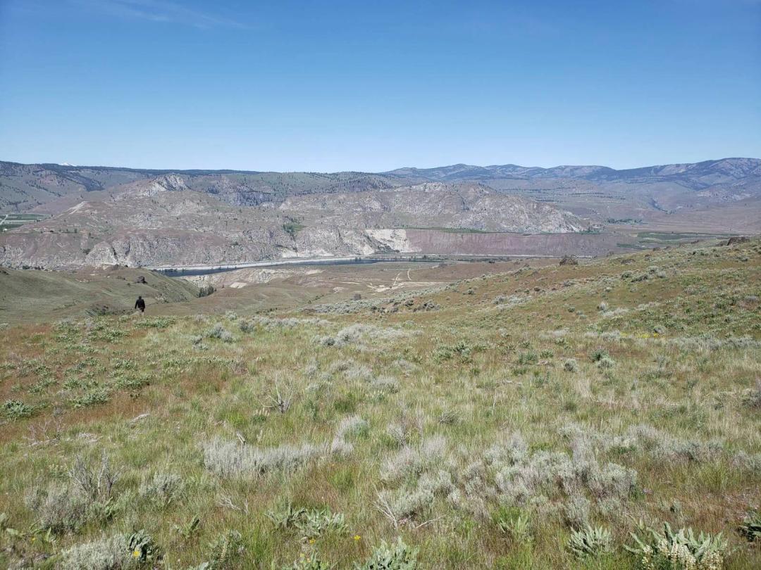 FOR SALE: 18+ Acre Parcel with Great Views of Columbia River