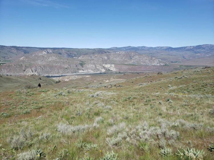 FOR SALE: 18+ Acre Parcel with Great Views of Columbia River