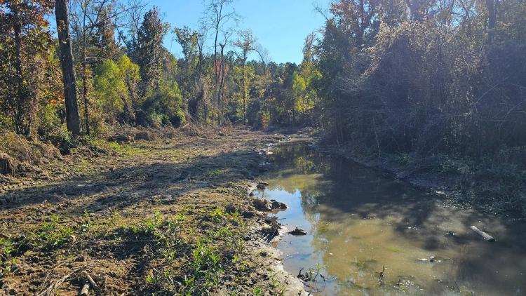 183 Acres in Carroll County, MS
