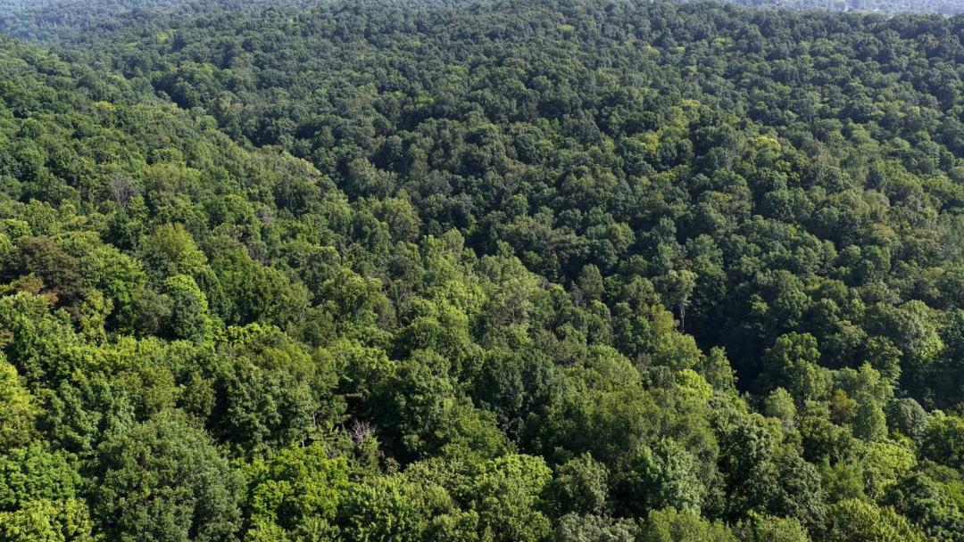 Washington County Ohio Land for Sale | 10 Acres