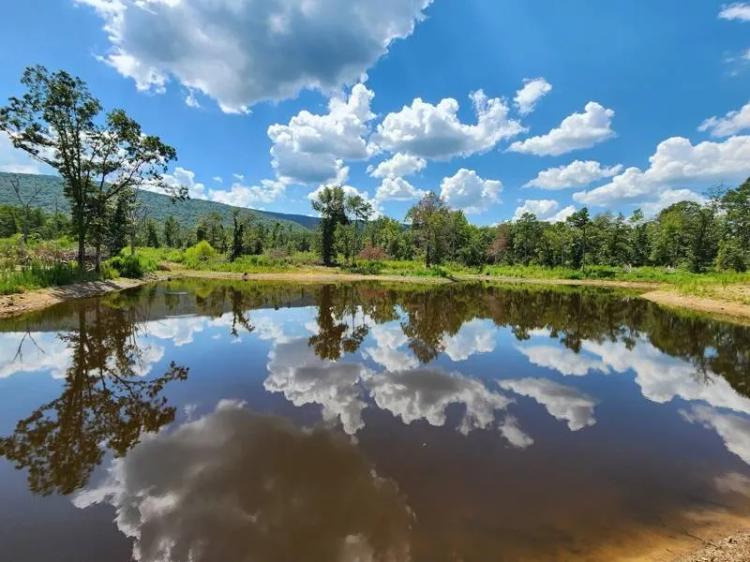 Kiamichi Mountain Homestead Property