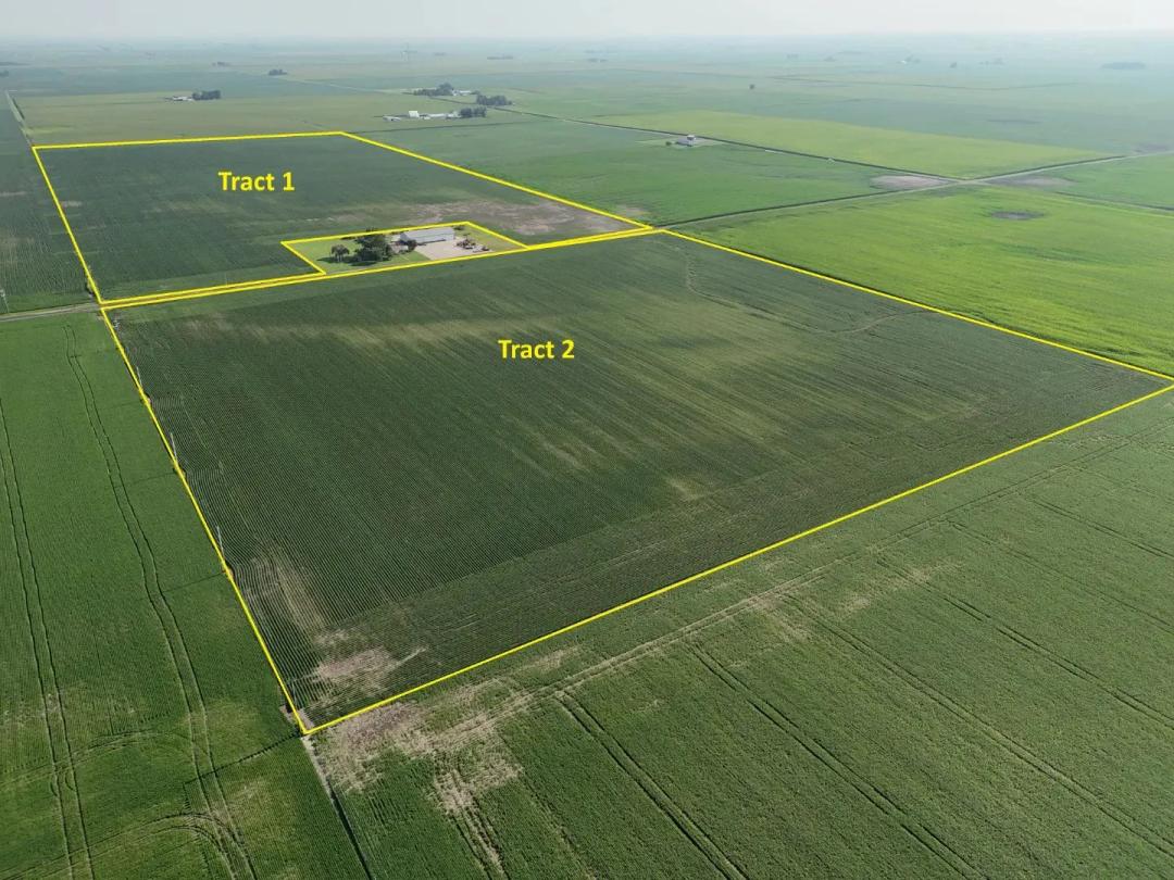 The Knollenberg Trust Farmland Auction | 116.12 +/- Acres | Coles County, IL