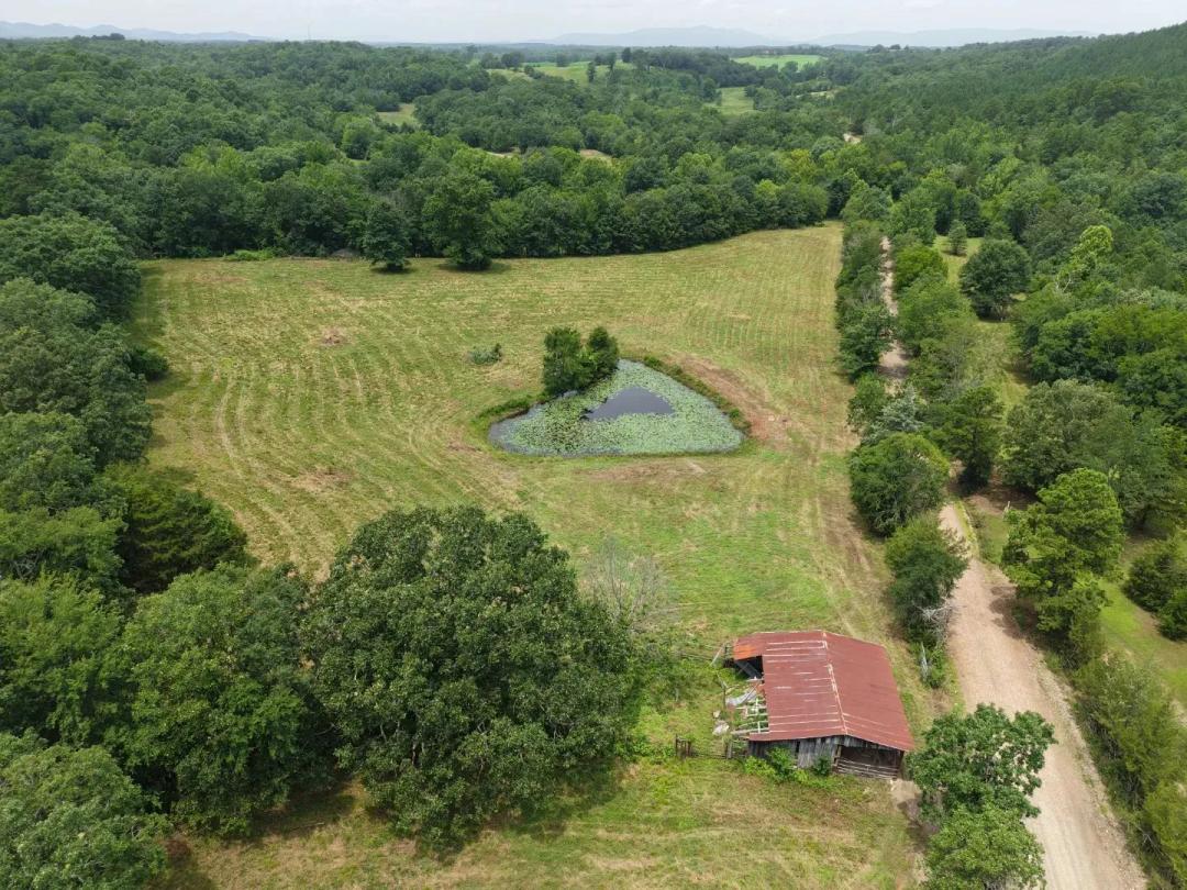 8 Acres on Polk Road 62 in Polk County, AR