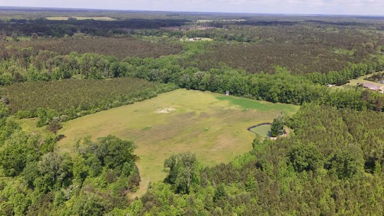 149 Acres in Choctaw County, MS 