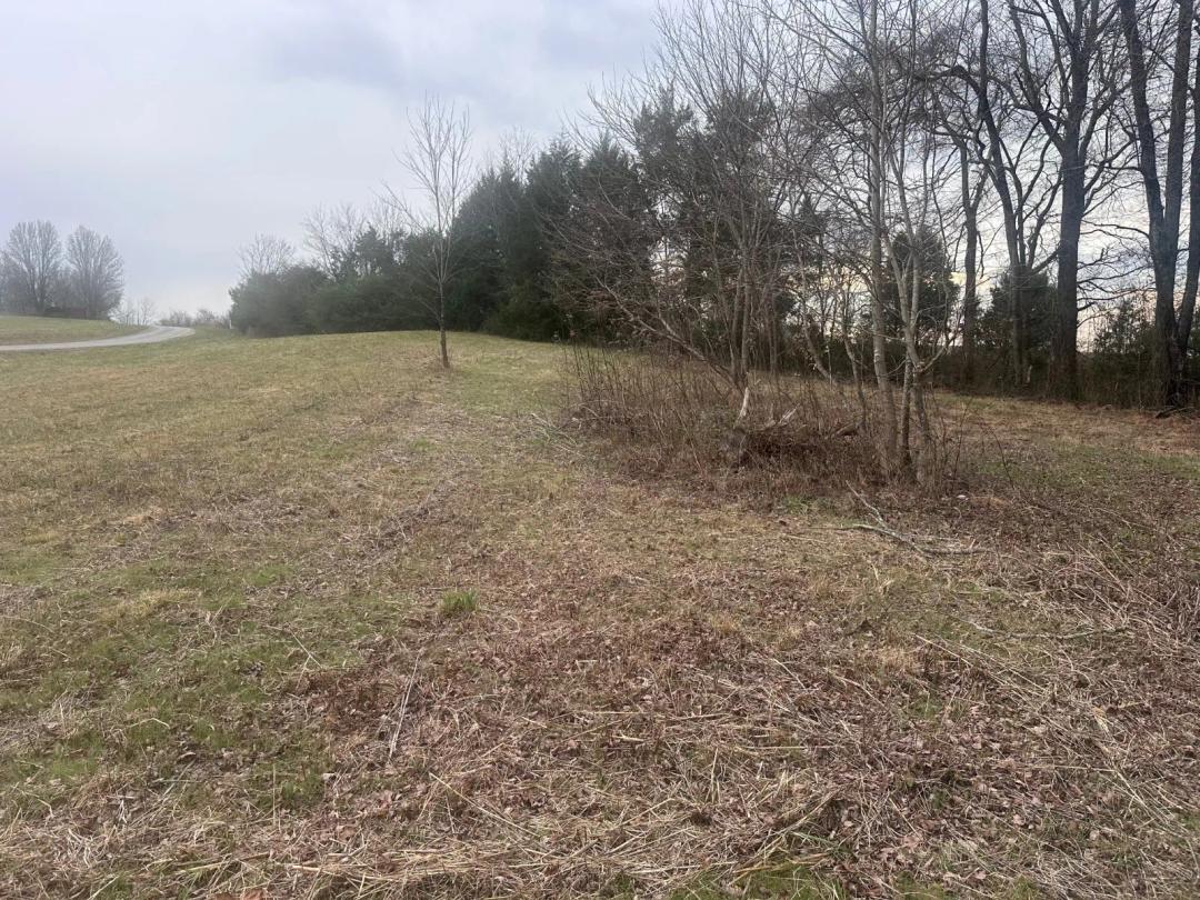 Water Frontage Acreage with Cumberland River Water Privileges