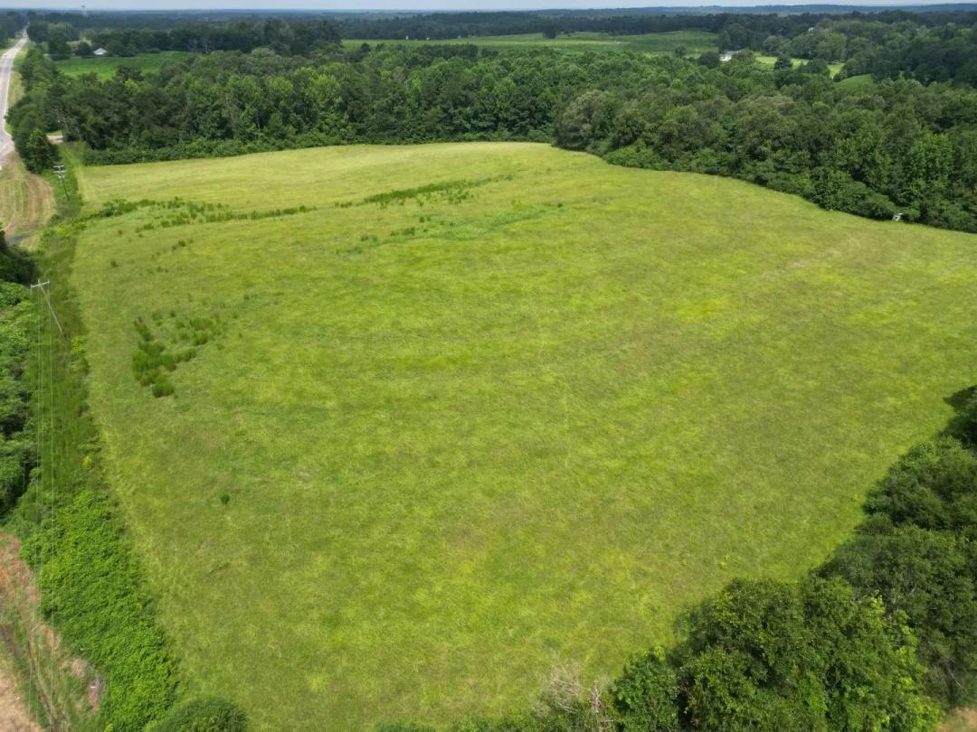 20 Acres in Neshoba County, MS