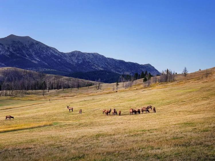 Tepee Ridge Homestead
