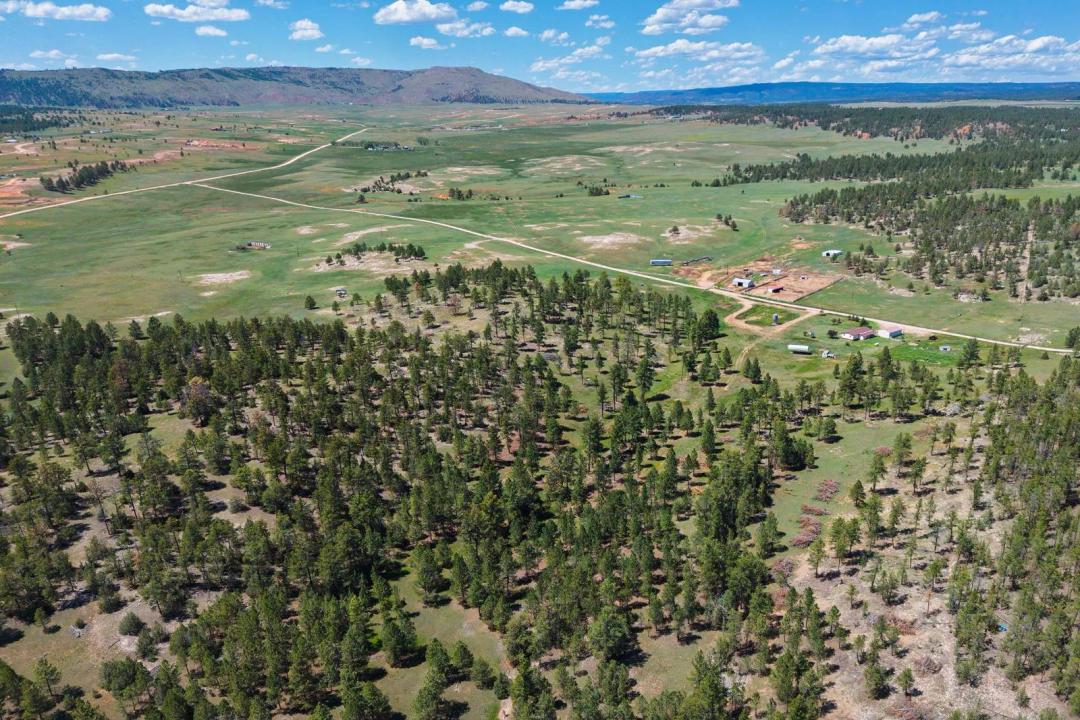 Western South Dakota - 50 acres