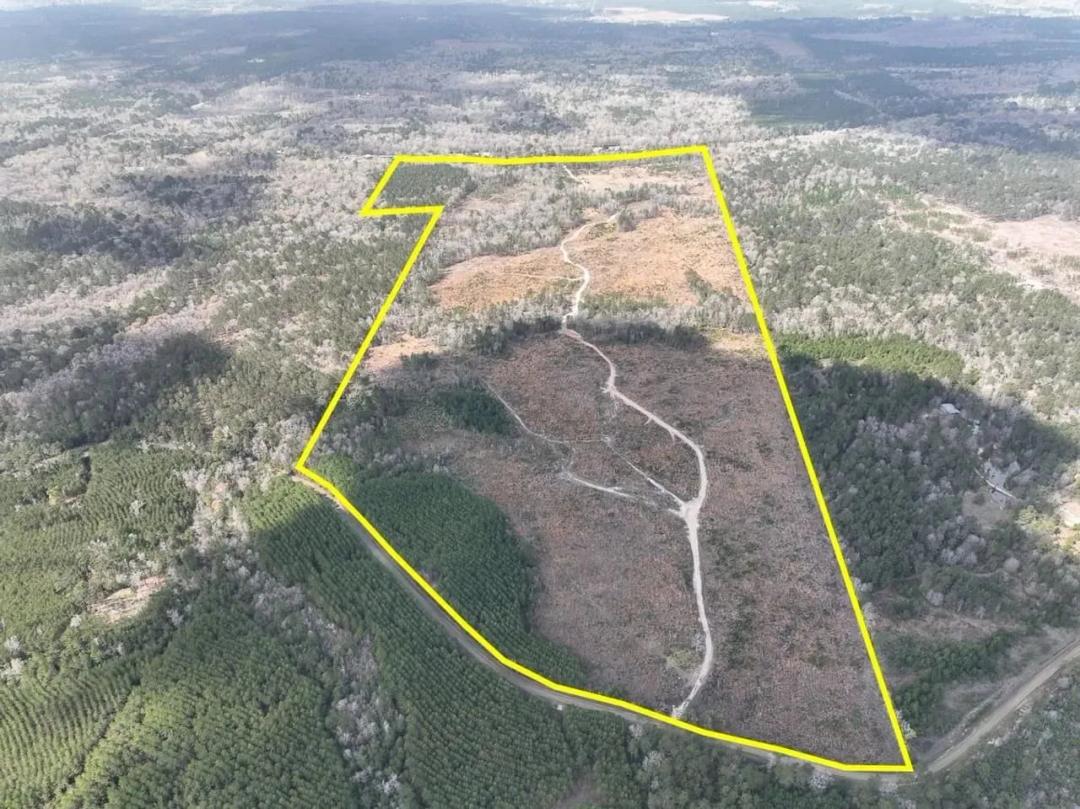 203 Acres | Neches River Front | County Road 37