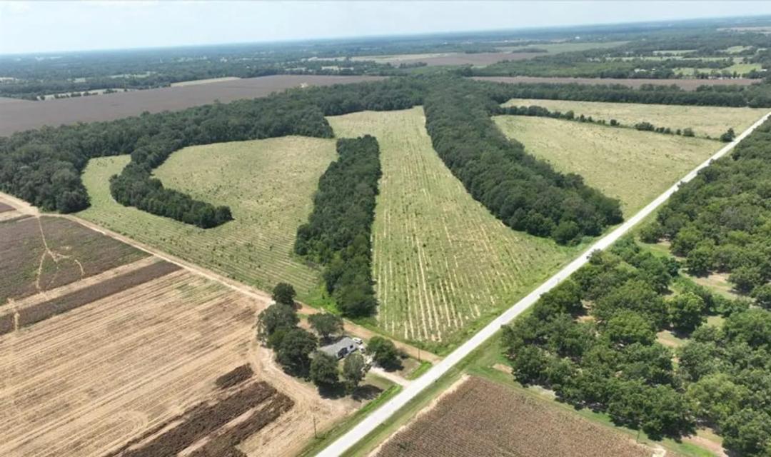 Listing #19465 - 78.00 acres in Franklin County, LA