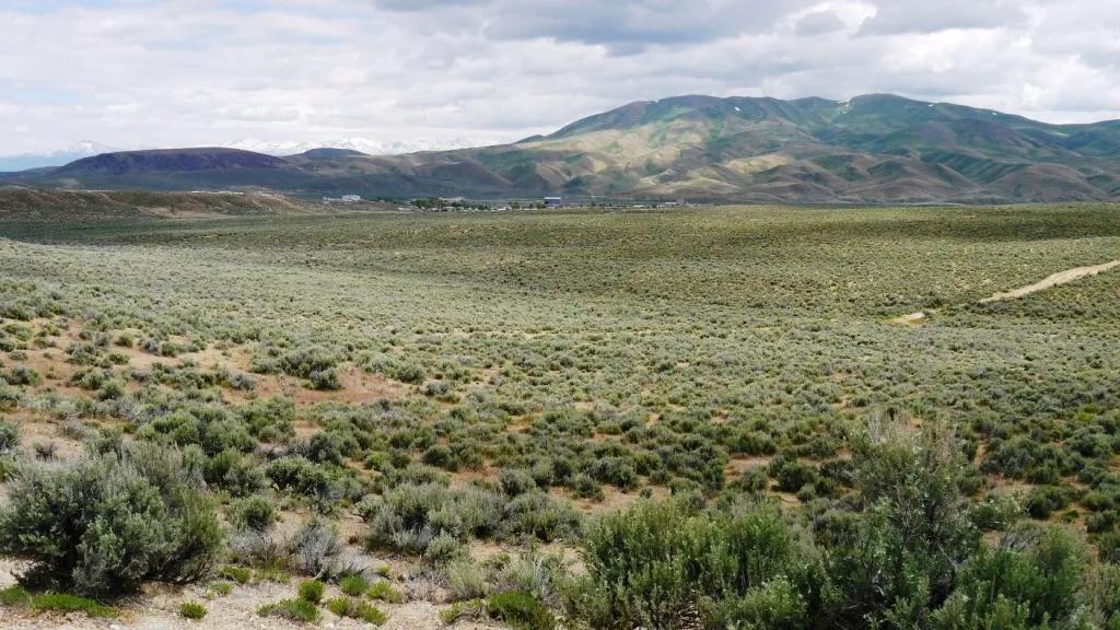 On Ridge above small creek - Wide Open Spaces