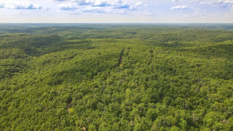 Ultimate Ozark Retreat: 216.87 Acres of Hunting and Recreation - Laclede County