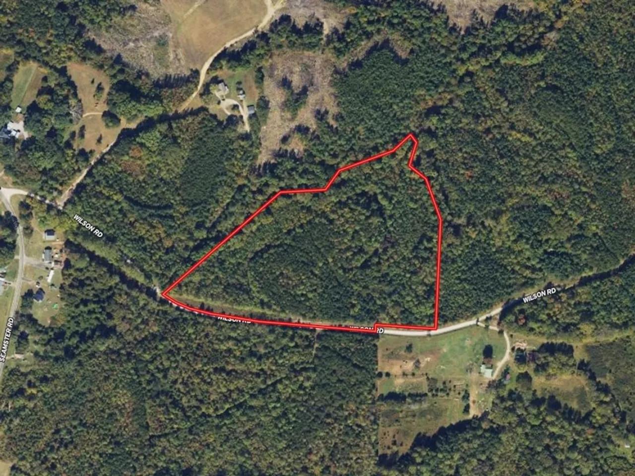 45847772-40