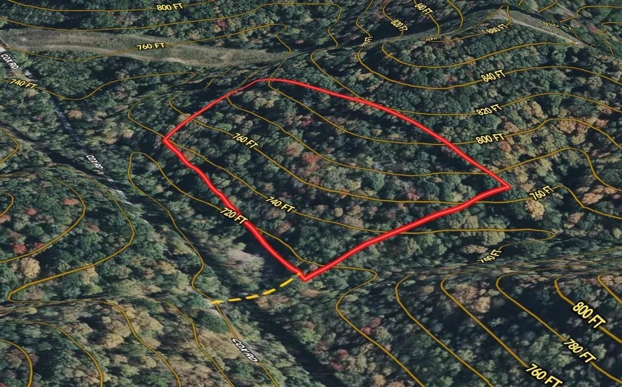 45858650-28