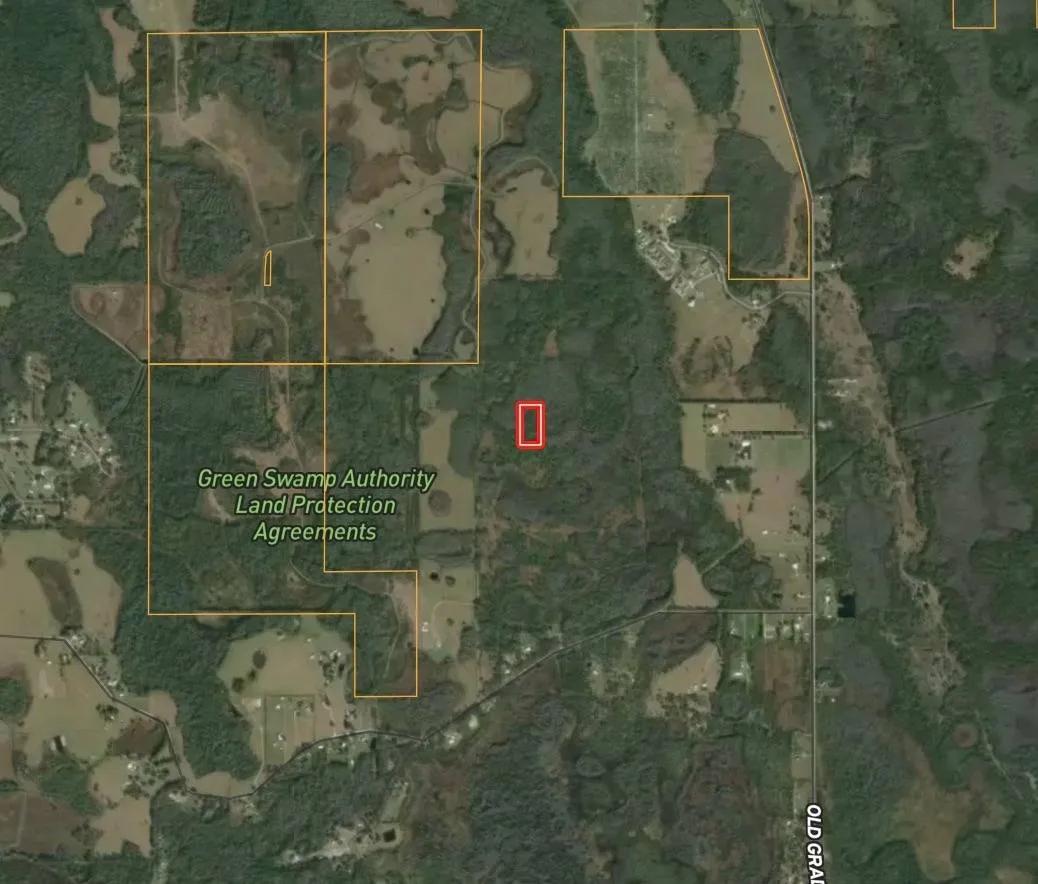 4.81 +/- Acres - Polk County - Green Swamp Tract