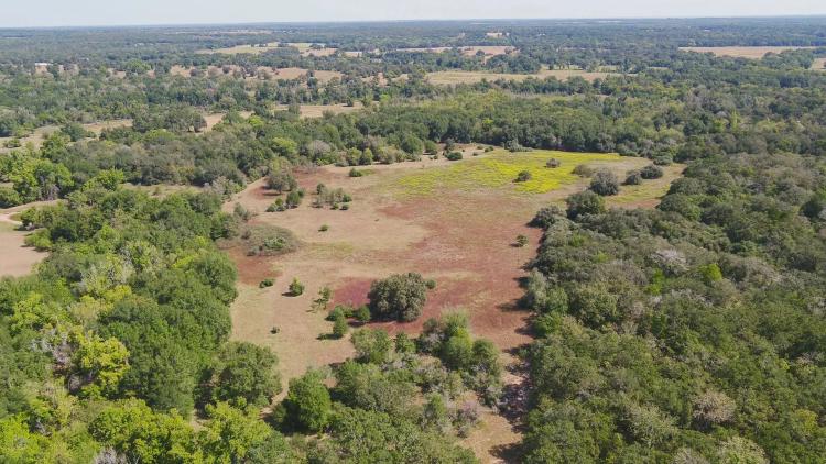 109 Acres in Burleson County
