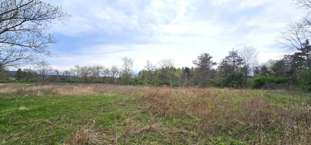 10 acre Building Lot bordering Golf Course and State Land in Horseheads NY Hancock Dr
