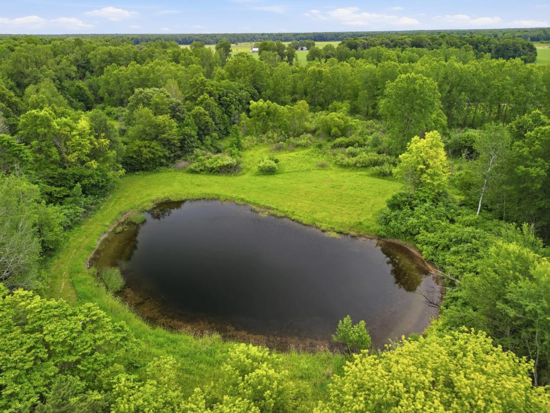 Gratiot County – 80 Acres