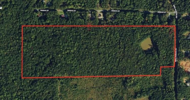 61.99 acres in Coweta County
