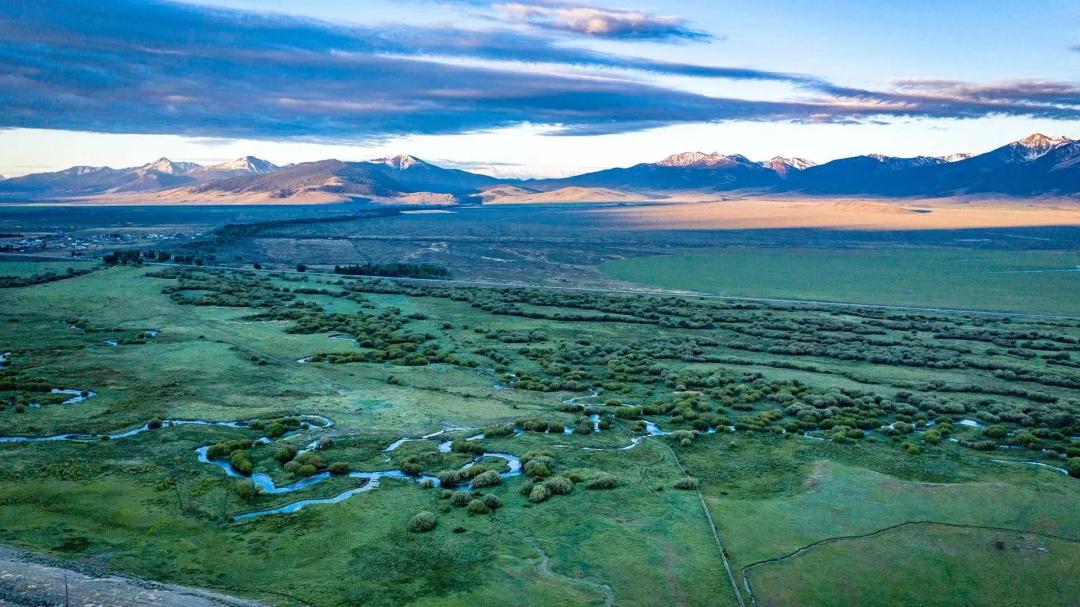 Leadore Angus Ranch