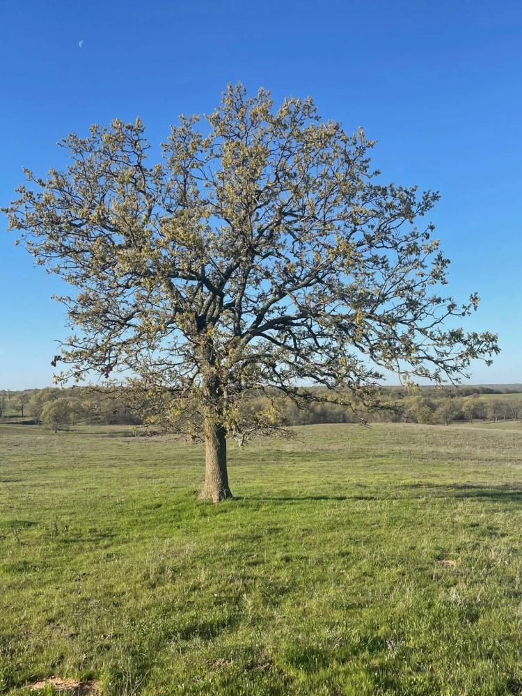 **Beautiful property with great access!!**