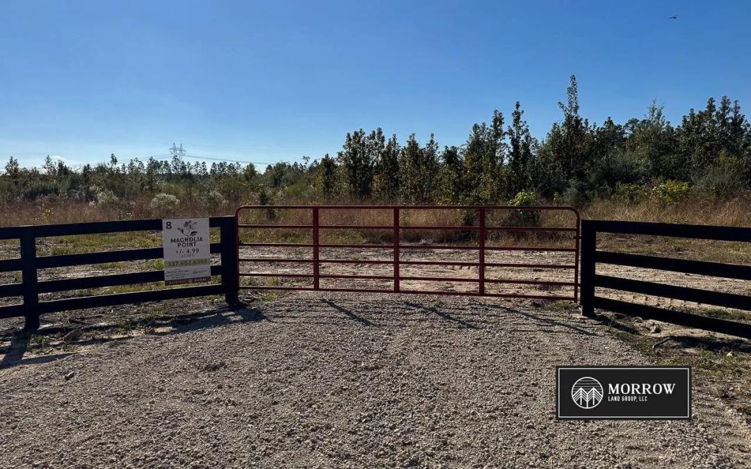 Magnolia Point - Lot #8